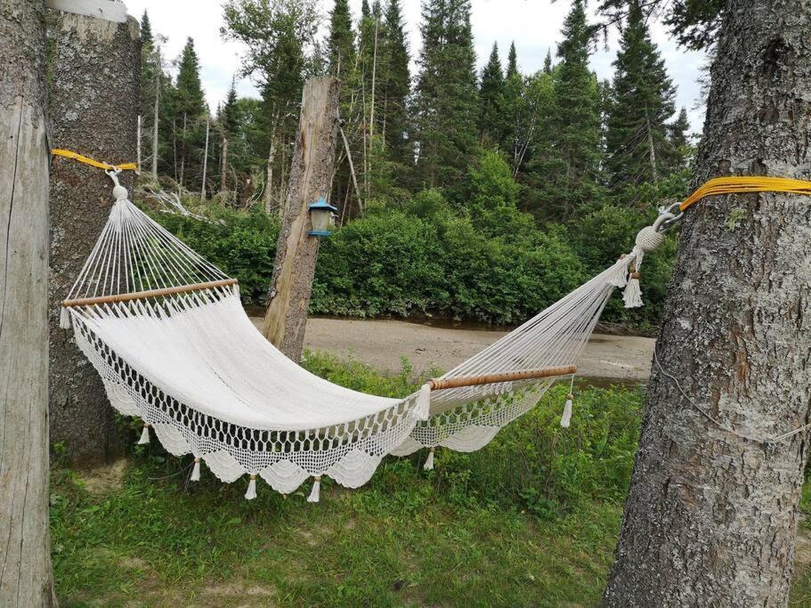 Refuge Rustic Borde Par Riviere Et La Nature Chalet